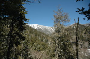 Hiking Mt. LeConte